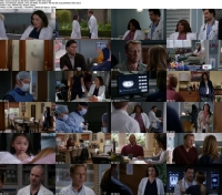 Greys Anatomy S16E11 HDTV x264-ToX mp4