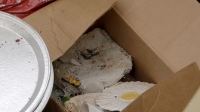 Hoarders S12E03 WEB h264-BAE EZTV