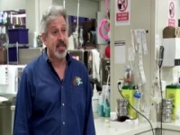 Vets Saving Pets S01E19 480p x264-mSD [eztv]