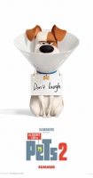The Secret Life of Pets 2 2019 720p Cam x264-DUSIcTv