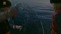 The Hunt For Baltic Gold S01E04 XviD-AFG EZTV The Hunt For Baltic Gold S01E04 XviD-AFG EZTV
