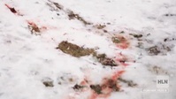 Forensic Files II S02E15 Grave Justice XviD-AFG EZTV Forensic Files II S02E15 Grave Justice XviD-AFG EZTV