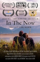 In the Now (2017) WEB-DL 1080p (DD2 0) X264 Solar