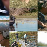 Monster Croc Wrangler S03E07 HDTV x264-CBFM