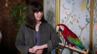 Embarrassing Pets S01E16 720p HDTV X264-CREED [eztv]