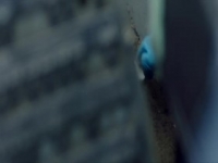 Silent Witness S23E01 480p x264-mSD [eztv]