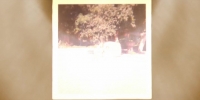 Surviving Death S01 WEBRip x264-ION10 EZTV Surviving Death S01 WEBRip x264-ION10 EZTV