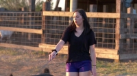 Pig Royalty S01E02 WEBRip x264-BAE EZTV Pig Royalty S01E02 WEBRip x264-BAE EZTV