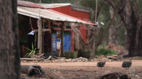 Back Roads S10E11 XviD-AFG EZTV Back Roads S10E11 XviD-AFG EZTV