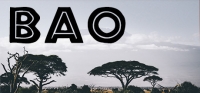 BAO BAO