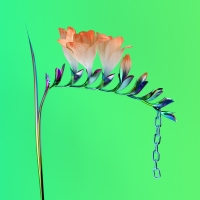 Flume - Skin Companion EP 1[2016] [EDM RG]{PRADYUTVAM2}