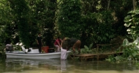 Killer Crocodile 2 (1990) [BluRay] [1080p] [YTS] [YIFY]
