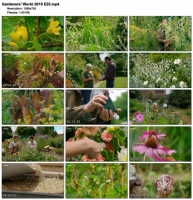 Gardeners' World 2019 E25 (1280x720p HD, 50fps, soft Eng subs)