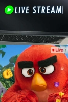 Live Stream 2019 RERIP BDRip x264-FLAME[TGx]