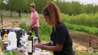 MasterChef Australia S13E37 1080p HEVC x265-MeGusta EZTV