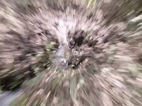 Mysterious Creatures with Forrest Galante S01E06 480p x264-mSD EZTV Mysterious Creatures with Forrest Galante S01E06 480p x264-mSD EZTV