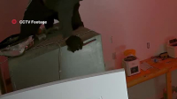 Body Cam S09E04 XviD-AFG EZTV