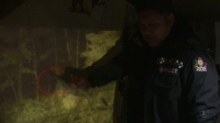 Wellington Paranormal S03E02 XviD-AFG EZTV
