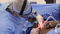 Botched S08E03 1080p WEBRip x264-BAE EZTV Botched S08E03 1080p WEBRip x264-BAE EZTV