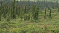 Mountain Men S11E01 720p HEVC x265-MeGusta EZTV