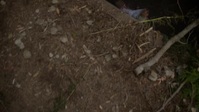 Fire Country S01E03 XviD-AFG EZTV