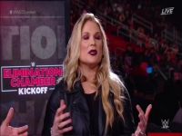 WWE Elimination Chamber Kickoff 2019 AAC MP4-Mobile [eztv]