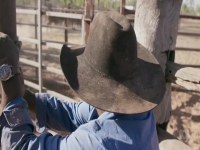 Outback Ringer S01E10 480p x264-mSD EZTV