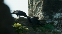 Iolos Snowdonia S01E01 Spring HDTV x264-UNDERBELLY [eztv]