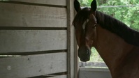 48 Hours S35E02 720p WEB h264-DiRT EZTV 48 Hours S35E02 720p WEB h264-DiRT EZTV
