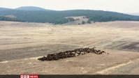 Extreme Conservation S01E01 Turkey XviD-AFG EZTV Extreme Conservation S01E01 Turkey XviD-AFG EZTV