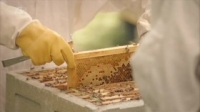 Made In Chelsea S15E10 PDTV x264-PLUTONiUM [eztv]