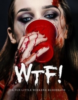 WTF 2017 720p HDRip x264 AAC-N O K