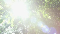 Nigel Marvens Wild Philippines S01E01 XviD-AFG EZTV