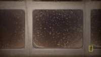 Cosmos Possible Worlds S01E03 720p HDTV x264-aAF [eztv]