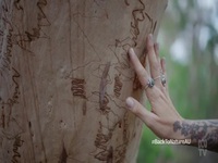 Back To Nature S01E07 480p x264-mSD EZTV