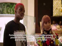 Sampled S01E03 480p x264-mSD EZTV