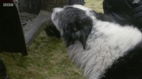 This Farming Life S04E07 XviD-AFG EZTV