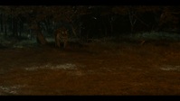 Panic S01E09 1080p HEVC x265-MeGusta EZTV