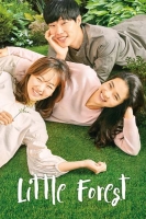 Little Forest 2018 iNTERNAL BDRip x264-REGRET[TGx]