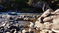 Building Roots S01E07 XviD-AFG EZTV Building Roots S01E07 XviD-AFG EZTV