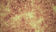 NOVA S48E14 Particles Unknown 720p WEB h264-BAE EZTV