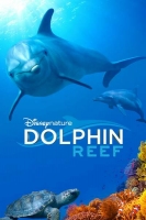 Dolphin Reef 2020 1080p WEB H264-SECRECY[TGx]