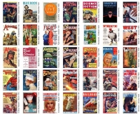 Old Pulp Magazines Collection 74 (gnv64)
