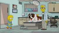 The Simpsons S27E15 HDTV x264 KILLERS rarbg