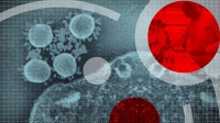 BBC News Special - Coronavirus Pandemic MP4 + subs BigJ0554 BBC News Special - Coronavirus Pandemic MP4 + subs BigJ0554