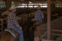 The Cowboy Way S04E09 WEB H264-CRiMSON [eztv]