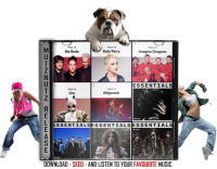 MutzNutz Music Pack 008 2019