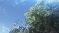 Laid Back Camp S02E13 1080p HEVC x265-MeGusta EZTV