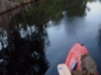 Fish Or Die S01E09 480p x264-mSD [eztv]