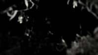 Paranormal Caught on Camera S05E21 XviD-AFG EZTV Paranormal Caught on Camera S05E21 XviD-AFG EZTV